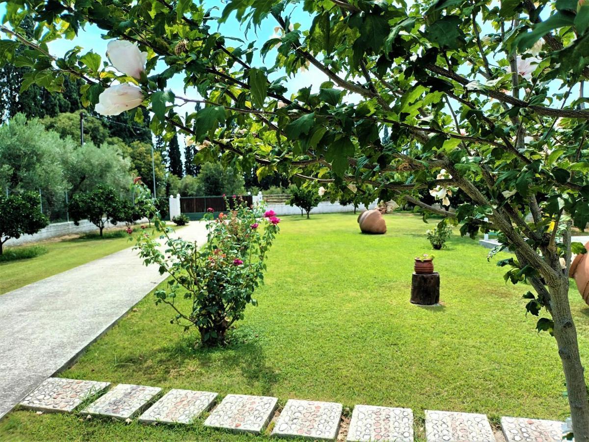 Villa Zenia Pelion Garden House Platanidia Esterno foto