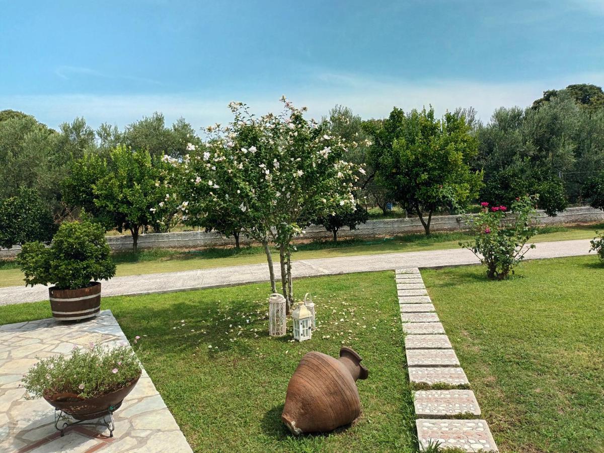 Villa Zenia Pelion Garden House Platanidia Esterno foto