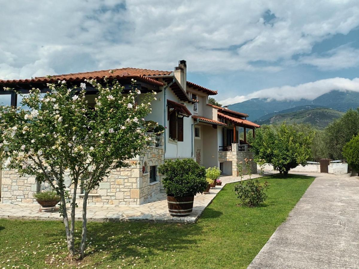Villa Zenia Pelion Garden House Platanidia Esterno foto